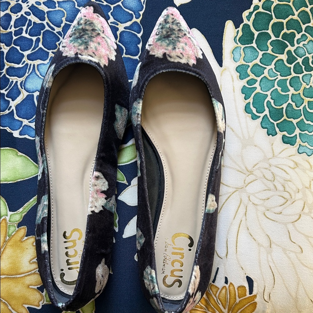 Circus by Sam Edelman Black Velvet Floral Pointed Toe Flats with Pink Accents 7
